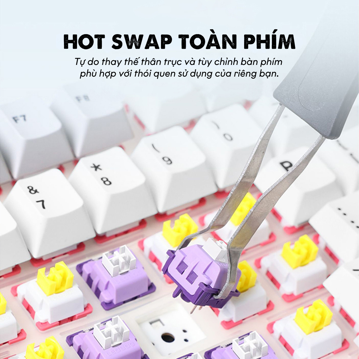 https://www.seaoner.shop/product/ban-phim-co-mechanical-keyboard-.html